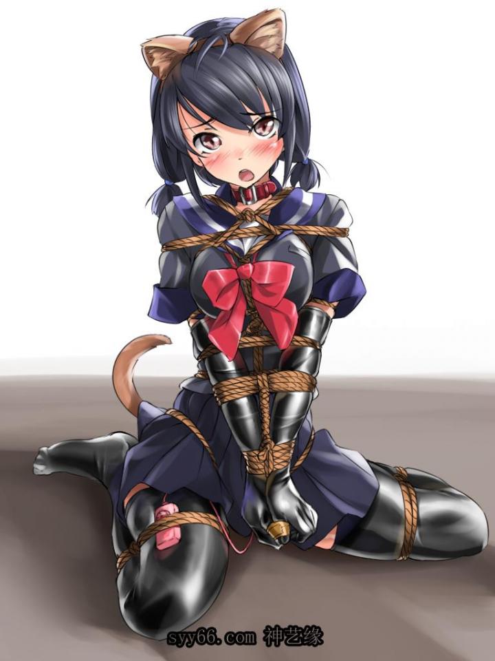  [Sailor suit,Necomimi,Japanese Anime,Tail]