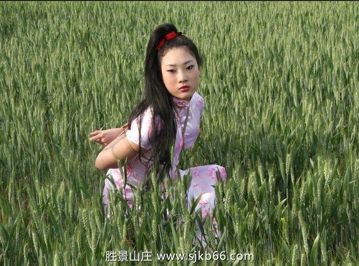 麦田绳缚 - 来自胜景的美女