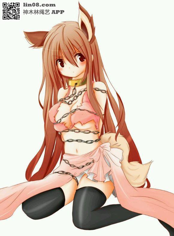 动漫杂图 [丝袜,猫耳,日本美女,日本动漫,内衣秀,长筒袜,狗链/项圈]
