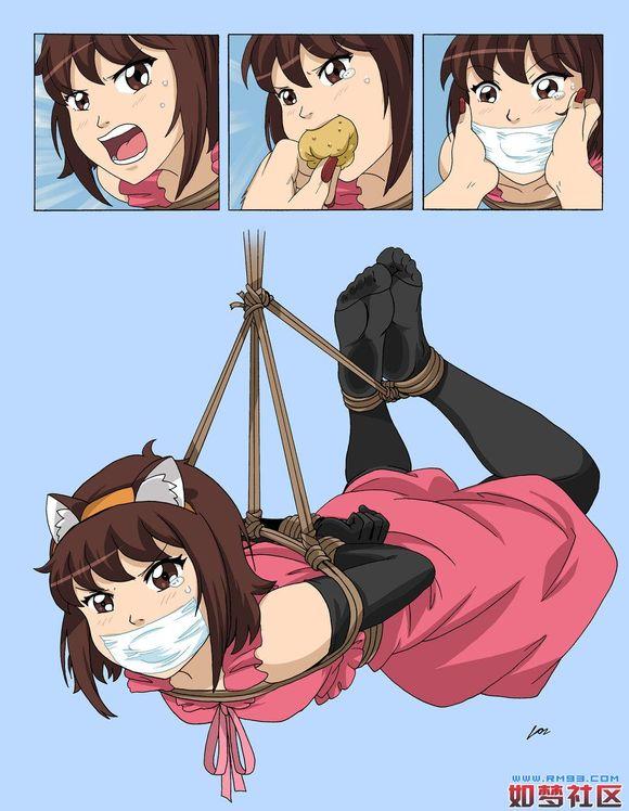  [Pantyhose,Necomimi,Suspension ,Gag,Western Anime]