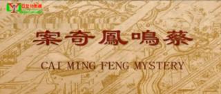 【1金福利计划启动】蔡鸣凤传奇 下 简介：女侠路见不平，拔刀相助，结果被官府抓了