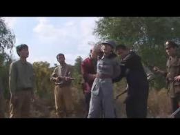风雨大别山 女烈，怀旧影苑，青竹、飘零、蔷薇主演