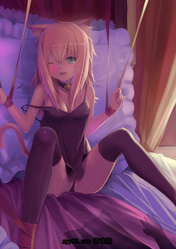 集合动漫 - 多年收藏 [Pantyhose,Necomimi,Japanese Anime]