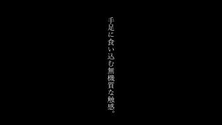 Handcuff And Tickle2 手枷足枷をつけてくすぐってみました  鉄観音サワラ編