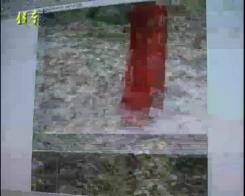 罗兰之恋 罗兰之恋 锐度 