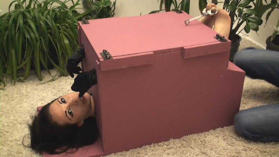 I Fought the Box and the Box Won - Ophelia qualitycontrol站视频I Fought the Box and the Box Won - Ophelia<br><br>模特Ophelia进行拘束脱出大挑战。她被S关进一个特制的箱子中，S告诉Ophelia如果不能逃脱的话就得接受惩罚<br><br>再进就是付费页面了<br>http://www.qualitycontrol.cc/Preview.php