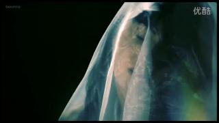 mv   快疯了 孙燕姿 mv   快疯了 孙燕姿 <br>特别喜欢头纱那张