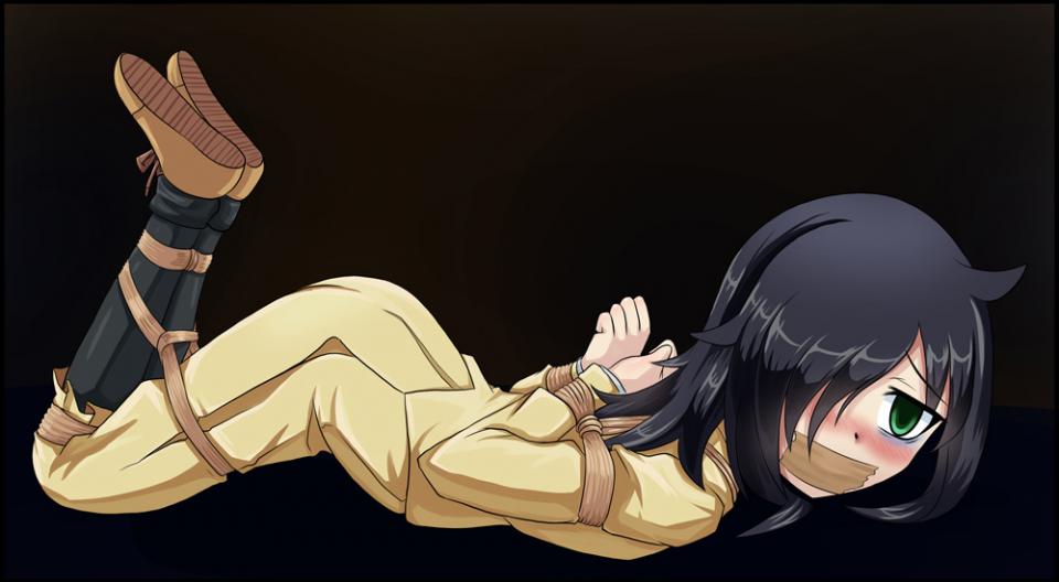 喜欢的画师合集9 [Hogtie (Lying on stomach),Gag,tape bondage,Western Anime]
