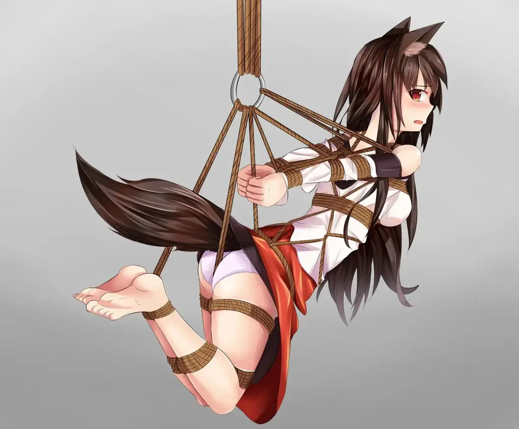 【818】【HQ】Vol.11 - 个人感觉这期品质很高 [猫耳,吊缚,日本动漫,尾巴,赤脚裸足,狐狸]