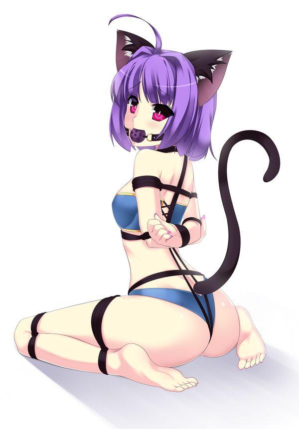  [Boxtie,Necomimi,Gag,Japanese Anime,Bound arms behind,Bare Foot]
