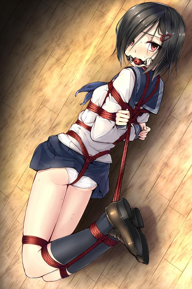  [Sailor suit,Hogtie (Lying on stomach),Gag,Japanese Anime,Crotch rope tie]