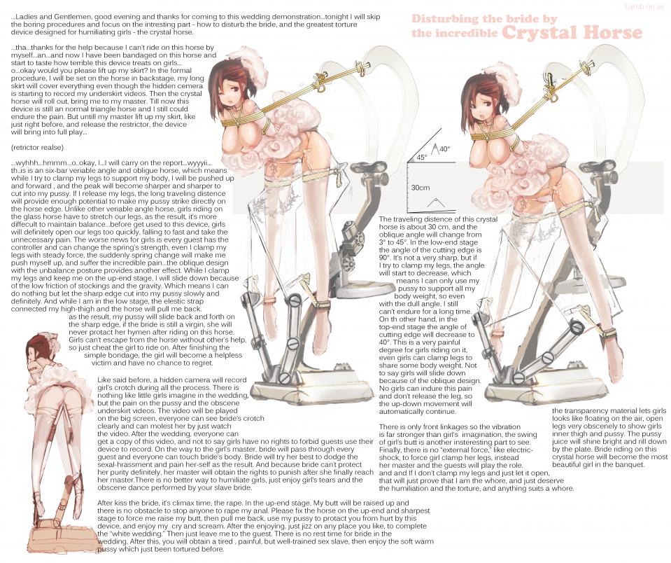  [Wedding veil,Japanese Anime,White Pantyhose,Western Anime,Wooden Horse]