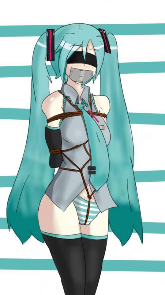 初音 [日式反绑,龟甲缚,堵嘴,胸缚,日本动漫,长筒袜,初音未来,眼罩/蒙眼,股绳,后手缚（低混乱值）]