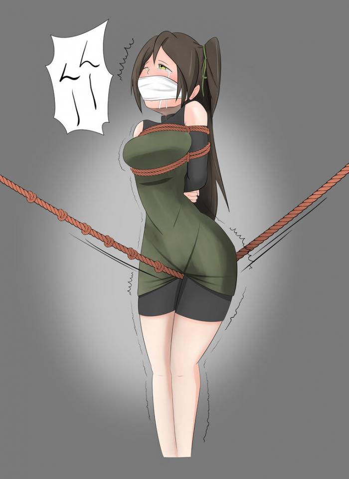 didnapper [日式反绑,堵嘴,走绳]
