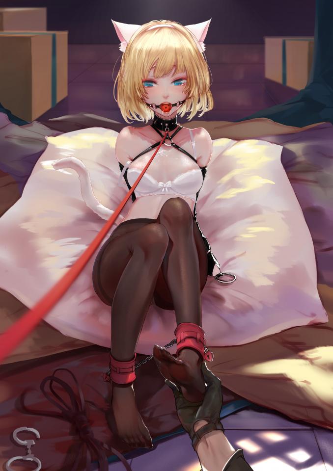p站摸的 - 來源pixiv [丝袜,猫耳,堵嘴,日本动漫,脚铐/脚镣,狗链/项圈,单手套]