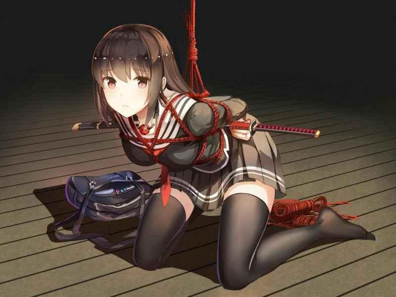 闲图，求一金币 [Boxtie,Pantyhose,Suspension ,Japanese Anime,Strappado Bondage]