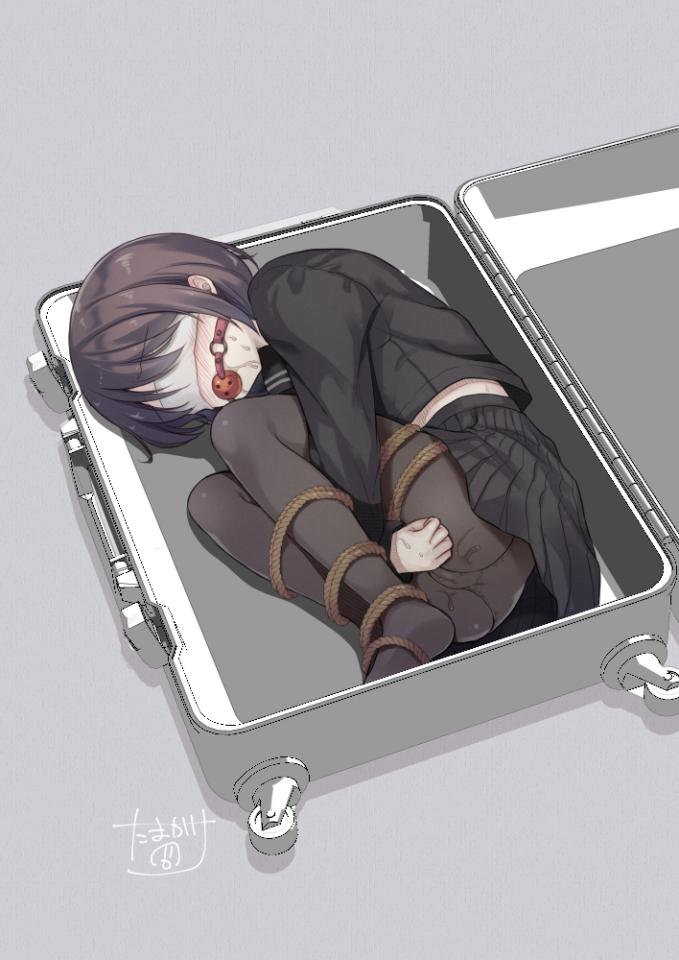  [Pantyhose,Gag,Japanese Anime,Blindfolded,Suitcase]