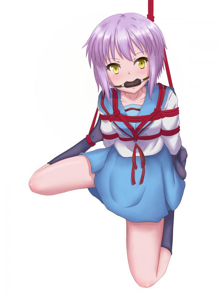 大萌神捆绑 - pixiv  id=69526224   其他角色无关 [日式反绑,日本动漫,长门有希]