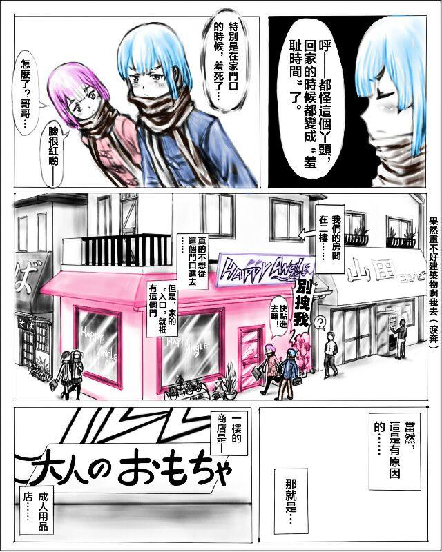 姐姐开了家玩具店 [日本动漫]