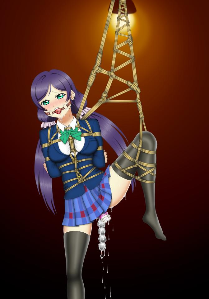 p站收集 - 图为本人自己画的，详见pixiv，ID:Makarov [日式反绑,丝袜,学生（水手服）,龟甲缚,吊缚,堵嘴,胸缚,日本动漫,学生（英式领结）,后手吊缚,单脚吊缚,跳蛋,东条希,震动棒]