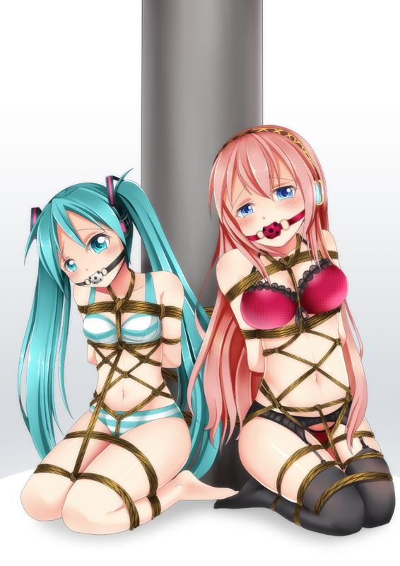  [Boxtie,Tortoise shell tie,Gag,Japanese Female,Breast bondage,Japanese Anime,Underwear,wood pole bondage,Hatsune Miku,Bound arms behind]