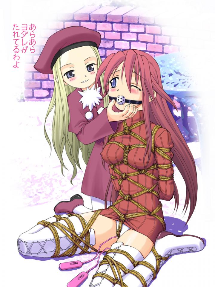 捆绑合集【1】 [日式反绑,龟甲缚,堵嘴,日本动漫,跳蛋,百合女同]