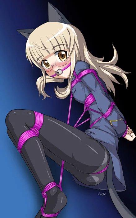  [Boxtie,Pantyhose,Necomimi,Gag,Breast bondage,Shrimp tie,Japanese Anime,Lick feet]