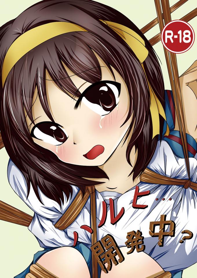 [あぷりこっこ (あっぷり子)] ハルヒ…開発中 (涼宮ハルヒの憂鬱)