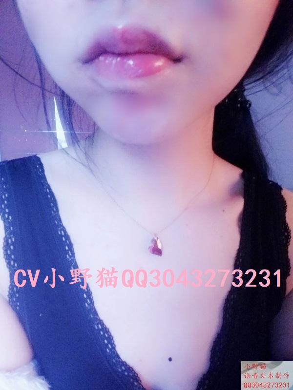 色色老姐-扶弟魔 好色姐姐安慰失恋的你 CV小野猫原创 支持定制和购买QQ3043273231<br>解压码 QQ3043273231