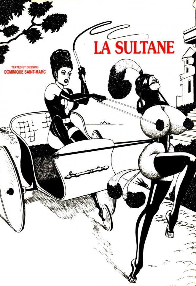 [Dominique St-Marc] La Sultane [French] - [Dominique St-Marc] La Sultane [French] [Western Anime]