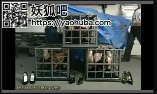 三名人妻拘束监禁 三名人妻被拘束监禁放入笼中