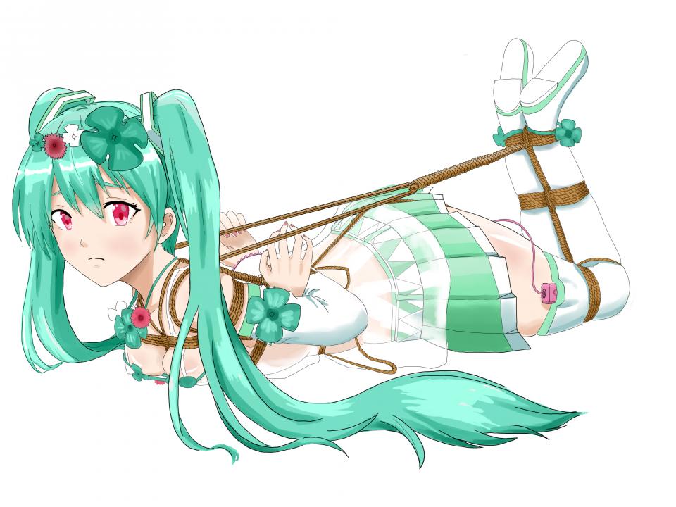 P站套图 [Boxtie,Hogtie (Lying on stomach),Breast bondage,Japanese Anime,Hatsune Miku]