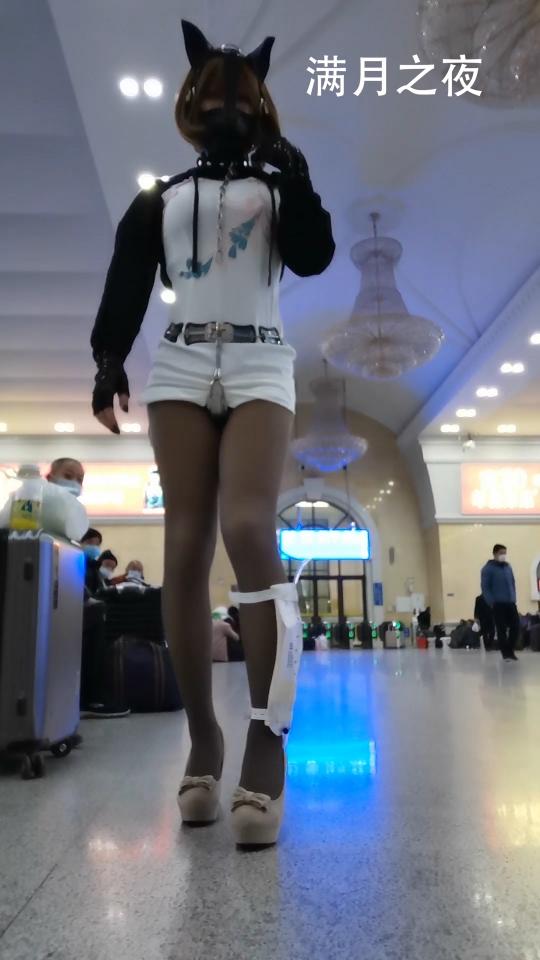 满月之夜火车站乘车自拍 犬装乘坐火车，从青岛站出发到潍坊（硬卧下铺），到达潍坊之后同站换乘返回青岛的高铁（二等座B位置）。其实只是为了12月中旬的长途旅行踩踩点，提前感受一下。道具就是日常那些：狗面具，项圈，贞操带和尿袋。（[不可描述]忘了带放电池的遥控器，所以没用上……）。视频时长41分51秒.<span style='color:#b0b0b0;'>[隐藏文字，购买后可见]</span>