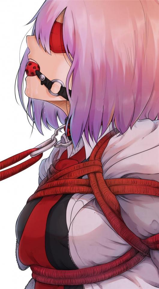 杂图 [Gag,Dog chain,Blindfolded]