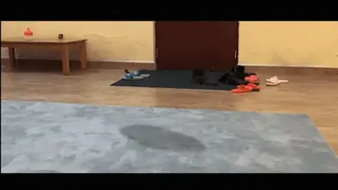 【半岛束艺台】YT951 惊现！从天而降的美人鱼 东海某海域狂风大作，骇浪惊天，无数海洋生物被卷入天空，包括一条正在被当做祭物献给波塞冬的人鱼。飞越了数千公里后，她不偏不倚正好砸进了一户人家，由于自己是祭品，上身仍然被绳索捆绑，冻得瑟瑟发动的人鱼艰难的爬进了温暖的房间，在空调的暖风下慢慢睡去，暖风吹干了她身上的海水，于是尾巴变成了一双腿，只是这双腿看起来怪怪的......<br>注：本台已启动半岛居民入驻计划，详情请关注本台主页https://linzijun.app/@BDTV<br>半岛居民除享有岛中不断更新的作品外，凡一次性购买6个月以上“大岛计划”的岛民享有半年一次的免费无版权定拍及免费现场活动（需政审）权利。<br><br>★★★解压密码：<br>peninsula2018<br>修改后缀名mp4，勿在线观看<br><br><br>【半岛束艺台】不做精品只做生活，用镜头记录最真实的绳艺，纯净捆绑，健康游戏！为每一个热爱捆绑的朋友展示最纯粹的绳艺，为每一个客户用心打造属于您的专属作品。<br>本台主页：https://linzijun.app/@BDTV<br>联系方式：QQ2245148409/微信peninsulastudio/推特Twitter@PeninsulaBound<br>业务咨询秒回，闲聊看心情，色情勿扰。<br>