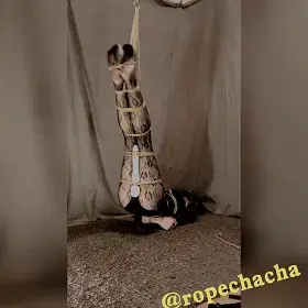[ropechacha茶茶]【蕾丝丝袜】【舞蹈服】茶茶的强制自吊缚/吊腿自缚/qiangzhi、累瘫~下集~【百度云，下载后文件后缀改.mp4】 真的有下集~不做鸽王~<br>肉丝的准备了~不要催~<br>你们还想看什么呀~最近暂时不接定拍了呢~在准备外出玩耍~<br>大佬的定拍还没剪出来。。。<br>关于视频呢原声，其实不知道为啥茶茶的苹果原相机拍出来会有哒哒的声音，用别的软件拍就没有很奇怪，所以有没有录长视频的软件推荐呀~~~