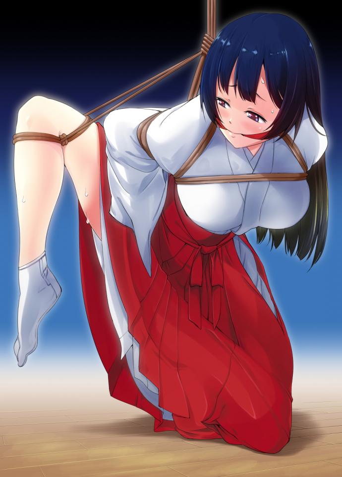 p站精选杂图02 - 个人精选的p站搬运杂图第二期 [Miko clothing,one-leg suspension]
