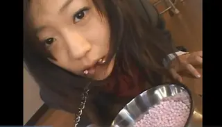 调教奴隶女学生 调教奴隶女学生<br>希望大家喜欢