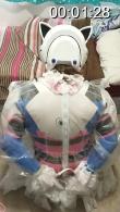 kigurumi 6 kigurumi6