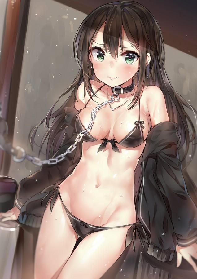 杂图搬运 第54期 - 试图继续当一只鸽子 [Japanese Anime,Underwear,Dog chain]