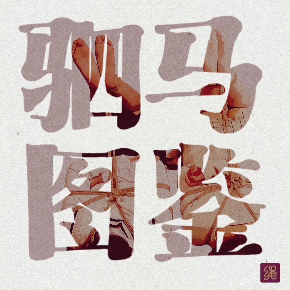 【12P】【驷马图鉴】【淡雅风】细节刻画最到位的一次！ - 最近钟爱淡雅风绘画&简单六百的效果 [驷马]