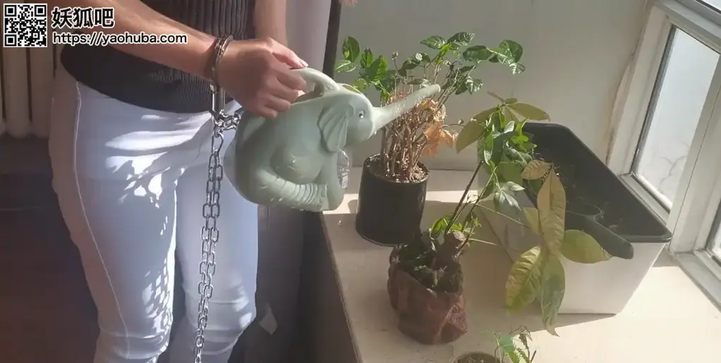 绳模的日常工作，锁着手脚做事 很多人好奇做一个绳模每天的工作内容是什么，今天即兴拍摄记录下来了绳模上班一个小时的工作状态，看完有没有想做绳模的女孩呢！视频解压密码：chuxin       ·<br>一绳所爱绳艺体验店面向全国爱好者开放，本店提供绳艺捆绑模特服务、体验女绳师捆绑服务、体验长时间囚禁服务、场地出租、专业麻绳销售，原创视频套图销售、作品定制等，另外本店招募同好合作伙伴。微信：351552501初心<br>