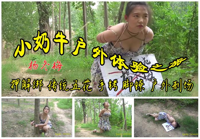 【小奶牛户外体验之旅】因为[不可描述]大人称奶牛（杨冬梅）户外佳作 故事情节：因为[不可描述]大人称绰号小奶牛（杨冬梅）在森林公园外景拍摄了戴上手铐被靠在大树上，脚镣、押解绑、传统五花大绑的一个过程希望大家能够喜欢！<br>温馨提示：如果百度网盘链接失效请联系客服立刻从新上传链接！<br>定拍约拍：QQ2567402320   2294390169（链接失效客服）闲扯淡者勿加！！<br>影片格式：修改为rar格式解压，加压后为mp4格式<br>