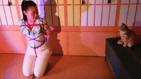 只顾拍照了，莲儿这个姿势绑了一个小时 莲儿日式绳艺捆绑紧缚，只顾拍艺术照了，不知不觉绑了将近一个小时，最后录了一段视频做个纪念。视频解压密码：chuxin ·           ·               ·               -<br>一绳所爱绳艺体验店面向全国爱好者开放，本店提供绳艺捆绑模特服务、体验女绳师捆绑服务、体验长时间囚禁服务、场地出租、专业麻绳销售，原创视频套图销售、作品定制等，另外本店招募同好合作伙伴。微信：351552501初心