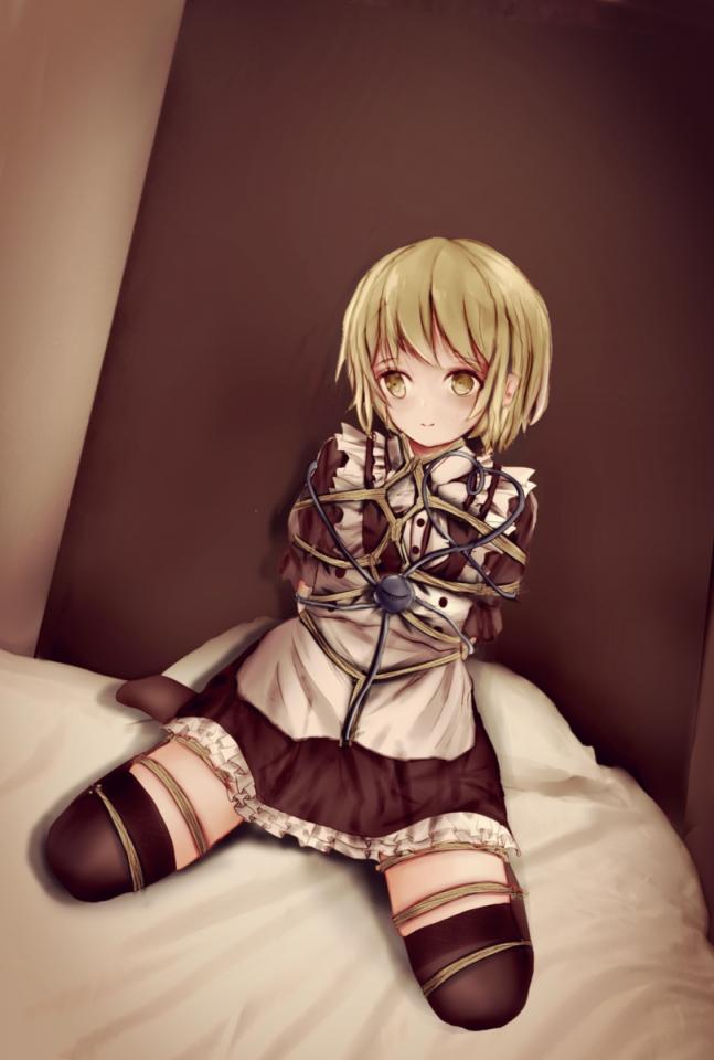 动漫捆绑杂图分享 [Pantyhose,Maid,Tortoise shell tie,Breast bondage,Stockings]