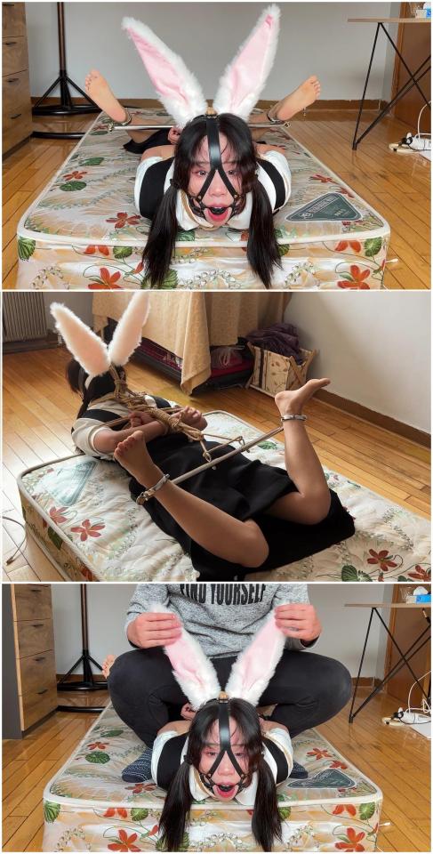 玩奴流炮架驷马+马具口球堵嘴放置挣扎，你的小兔纸妹妹来了！交流购约绑教程请加805351328。 解压密码<span style='color:#b0b0b0;'>[隐藏文字，购买后可见]</span>感谢各位的支持！本次带来的是玩奴流炮架驷马，新妹子的话戴美瞳蛮可爱的，十分严厉绑个结结实实，带上马具口球和兔耳朵。放置挣扎！反差与羞耻，非常好玩！<br>另外为了方便各位同好约绑，博主最近推出了一个非常详细的约绑教程。里面有非常详细的从零基础开始教大家如何认识妹子，如何与妹子沟通等等。非常的实用，有兴趣的各位同好加805351328咨询。<br>目前博主已经出了五个系列，分别是绝对真实调教系列，真实约拍系列，口水囚徒系列，紧缚实验室系列，美人小舔犬系列以及最新出的高颜值系列都非常精彩，各种元素满满，希望各位同好多多支持！<br>推特可以关注024玩奴原创。本频道提倡健康积极的绳艺亚文化，目的是给生活增添一些情趣，谢谢大家。<br><br>