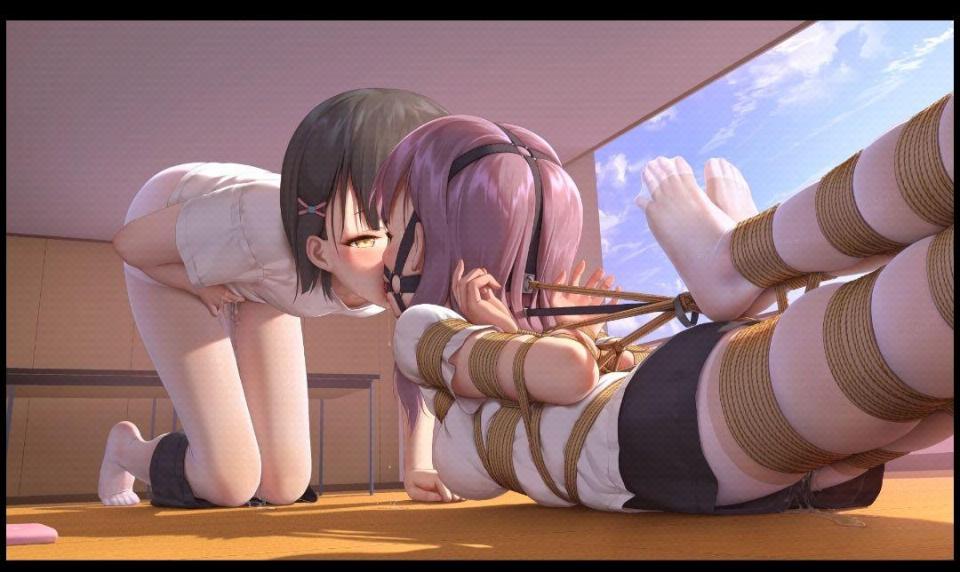 新手入住---找同好 [驷马（俯卧）,堵嘴,日本动漫,白丝,百合女同]