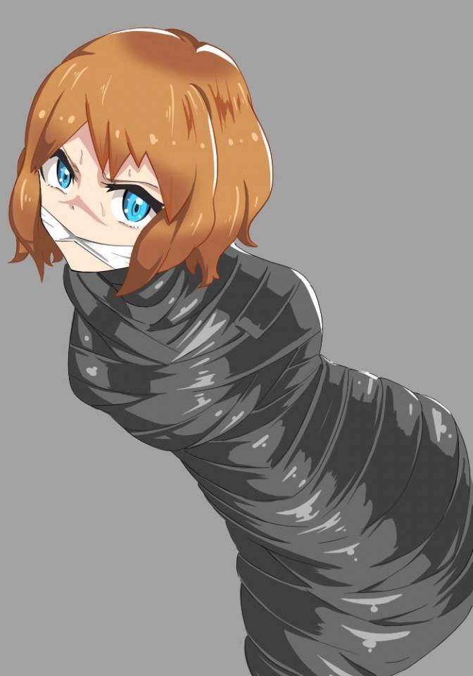 セ〇ナ　猿轡差分 帽子差分 - 作者：Gペン   购买链接：      更新了浏览器以后动图一上传就不动了，无可奈何 [胶带]