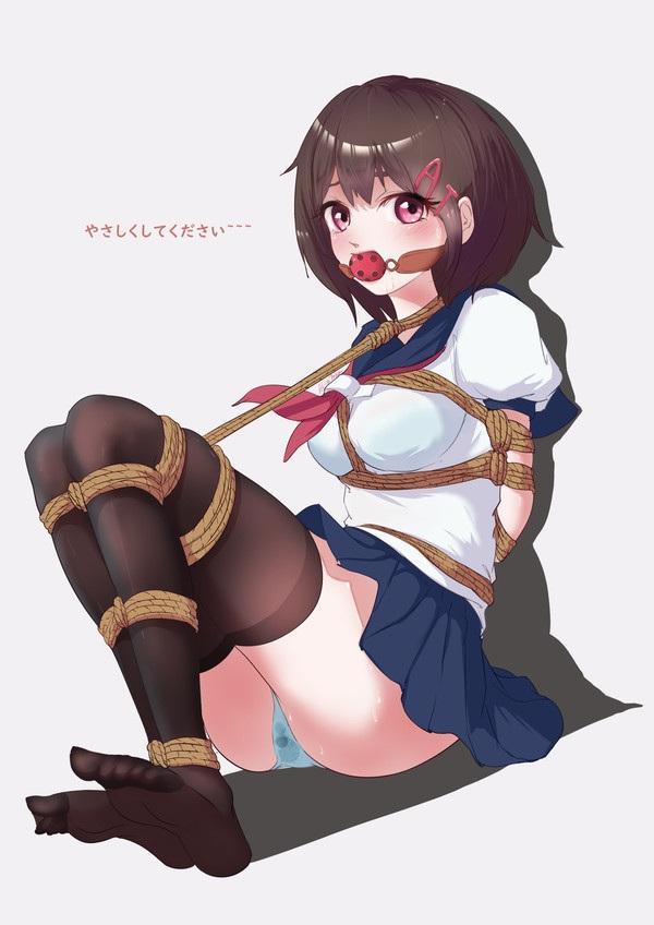 二次元24 [口球]