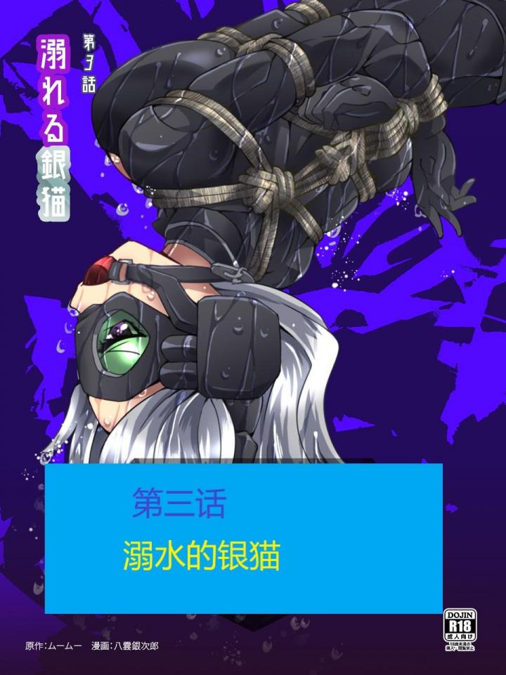 怪盗シルバーキャット漫画版 第3話【中国翻訳】DL版 - 作者夢かき屋购买于（前三张为预览） [日式反绑,吊缚,地牢, 剧情向,口球]